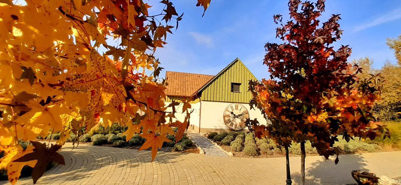Pajta Apartman Es Vendeghaz Tata Luaran gambar